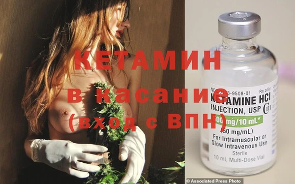 сатива Аркадак