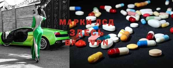 сатива Аркадак