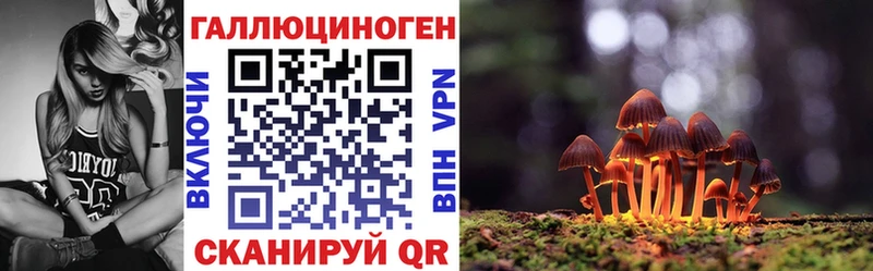 МЕГА ТОР  Фрязино  Галлюциногенные грибы Psilocybine cubensis 